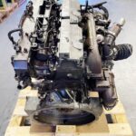 MAN 8.155 Engine LE DO 834 LFL02